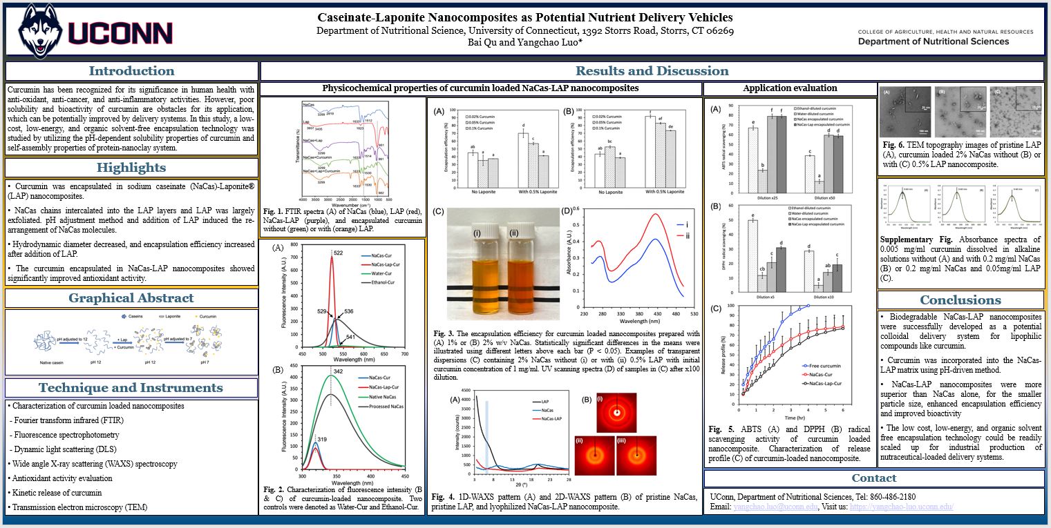Research Forum_Bai Poster
