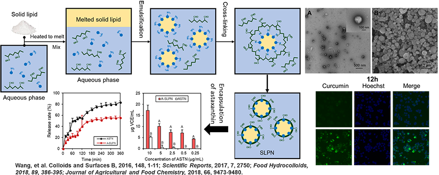 Solid-lipid polymer nanoparticles